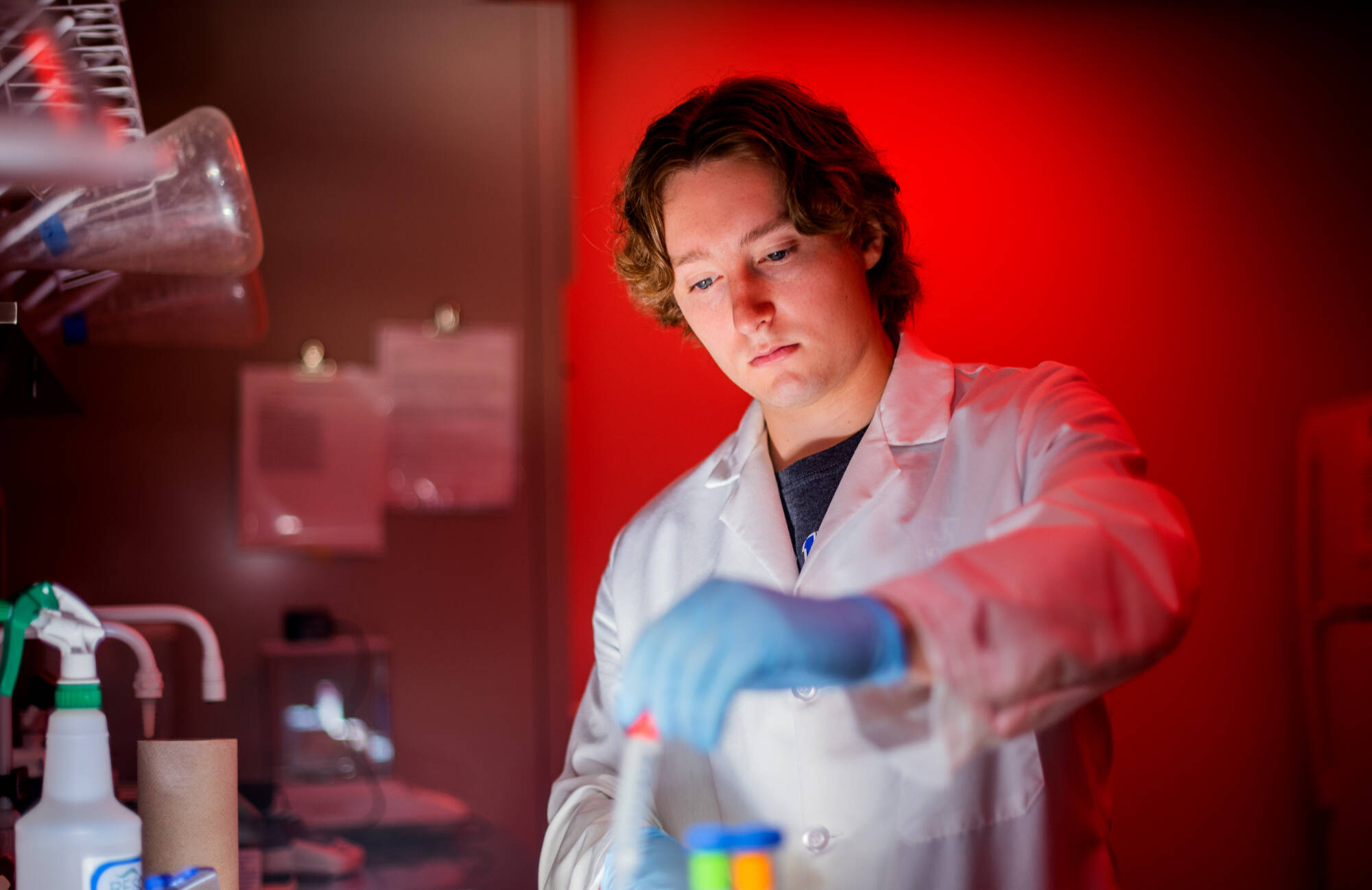 Summer Scholars student Derek Tonello works on his research project which focuses on trace amine associated receptor 1 and vulnerability to methamphetamine use disorders while in Kindschi Hall of Science on July 15, 2021. Tonello is studying biomedical sc